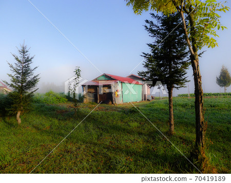 富良野曉陽 70419189