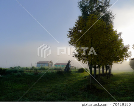 富良野曉陽 70419190