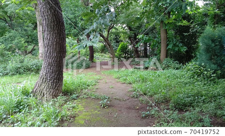 東京都大田區草公園，最近的稀有車站，池上線千代町站 70419752