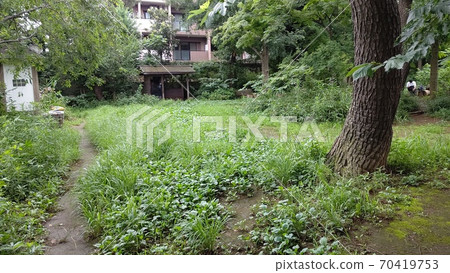 東京都大田區草公園，最近的稀有車站，池上線千代町站 70419753
