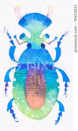 Fancy bug Fancy bug 70419831