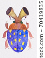 Fancy bug 70419835