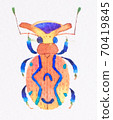 Fancy bug 70419845