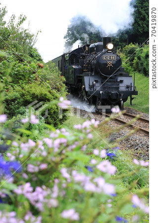 Moka Tetsudo "Steam locomotive running hard and scenery along the flowering line" Moka Tetsudo "Steam locomotive running hard and scenery along the flowering line" 70419870