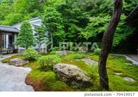 京畿道南禪寺的新鮮綠色 京畿道南禪寺的新鮮綠色 70419917