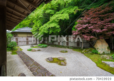 京畿道南禪寺的新鮮綠色 京畿道南禪寺的新鮮綠色 70419919