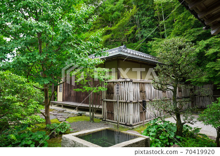 京畿道南禪寺的新鮮綠色 70419920