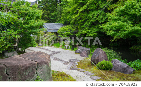 京畿道南禪寺的新鮮綠色 京畿道南禪寺的新鮮綠色 70419922