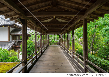 京畿道南禪寺的新鮮綠色 京畿道南禪寺的新鮮綠色 70419923