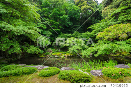 京都南禪院的鮮綠色 70419955