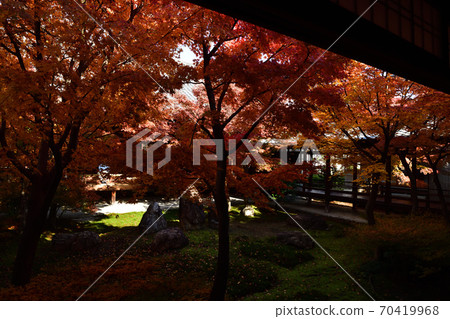 Autumn leaves of Kenninji Autumn leaves of Kenninji 70419968