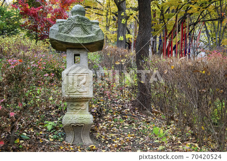 民俗村走 70420524