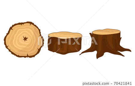 Stub and Cross Section Timber as Material for...-插圖素材 [70421841] - PIXTA圖庫