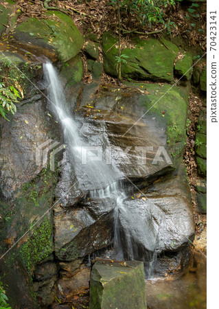 Thin waterfall at a trail located on Tijuca Forest, Rio de Janeiro 70423141