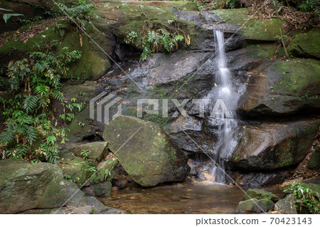 Thin waterfall at a trail located on Tijuca Forest, Rio de Janeiro 70423143