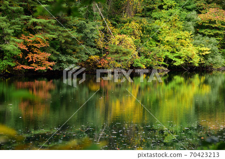 Futan Bandai Gokuumuma 70423213