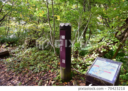 Futan Bandai Gokuumuma 70423218