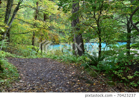 Futan Bandai Gokuumuma 70423237