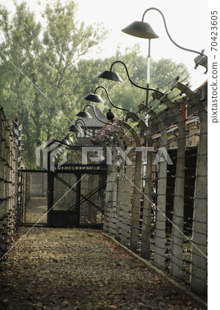 奧斯威辛 奧斯威辛 70423605