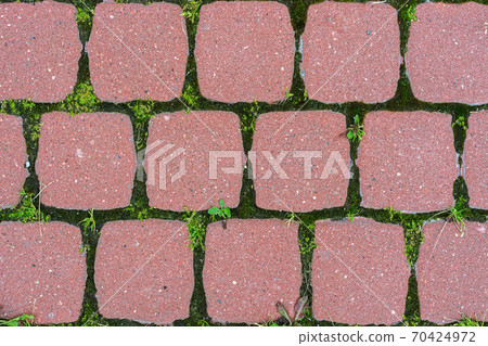 Pink tile background. Pink tile background. 70424972