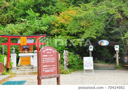 川口天上山兔子神社和遊客諮詢委員會(壁蝨山) 川口天上山兔子神社和遊客諮詢委員會(壁蝨山) 70424981