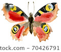 Handwork watercolor illustration of an insect butterfly 70426791