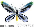 Handwork watercolor illustration of an insect butterfly 70426792