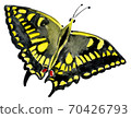 Handwork watercolor illustration of an insect butterfly 70426793