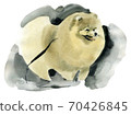 Watercolor illustration of dog Spitz in white background 70426845