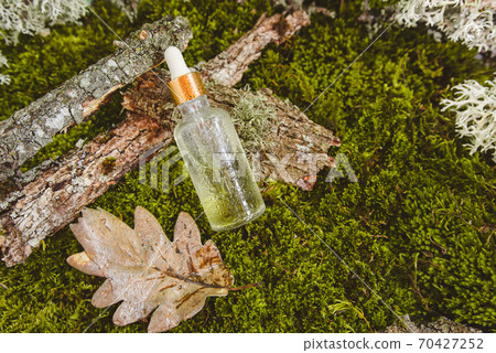 Natural eco-friendly organic cosmetics on the background of moss, leaves and tree bark. 70427252