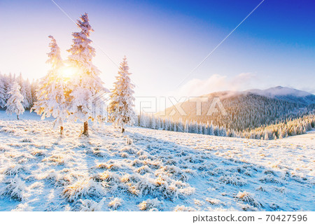 Fantastic winter landscape. Magic sunset in the mountains a frosty day. On the eve of the holiday. The dramatic scene. Carpathian, Ukraine, Europe. Happy New Year. Fantastic winter landscape. Magic sunset in the mountains a frosty day. On the eve of the holiday. The dramatic scene. Carpathian, Ukraine, Europe. Happy New Year. 70427596