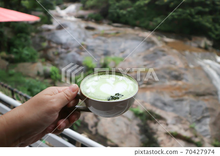 milk green tea, macha green tea 70427974