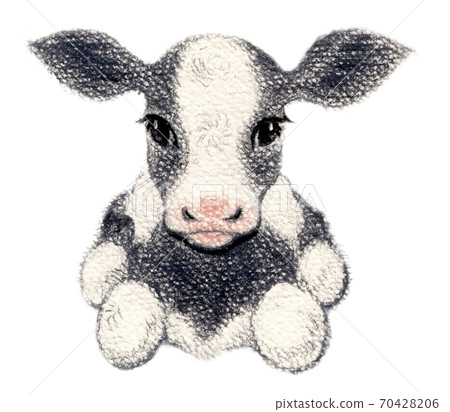 Calf background transparent 70428206