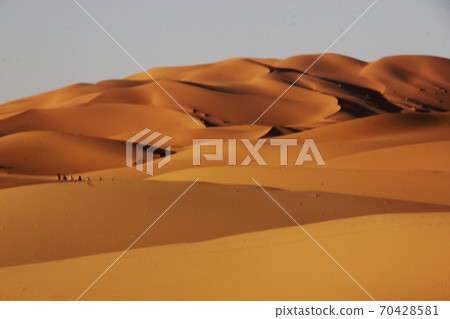 Sahara Desert Sahara Desert 70428581