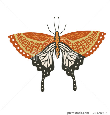 Boho vector butterfly. Boho vector butterfly. 70428996