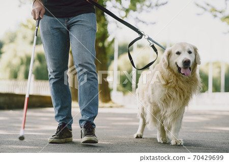 Blind man with guide dog in a summer city Blind man with guide dog in a summer city 70429699