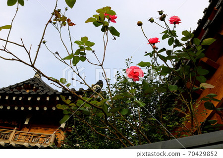 traditional village traditional village 70429852