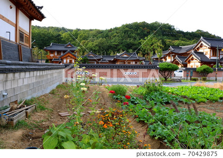 traditional village traditional village 70429875