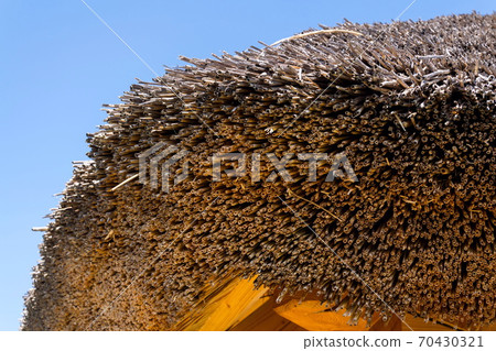 Detail of traditional thatched roof from straw or reed on sunny summer day Detail of traditional thatched roof from straw or reed on sunny summer day 70430321