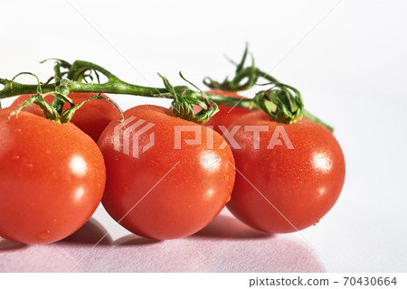 Branch of red organic tomatoes on a white background Branch of red organic tomatoes on a white background 70430664