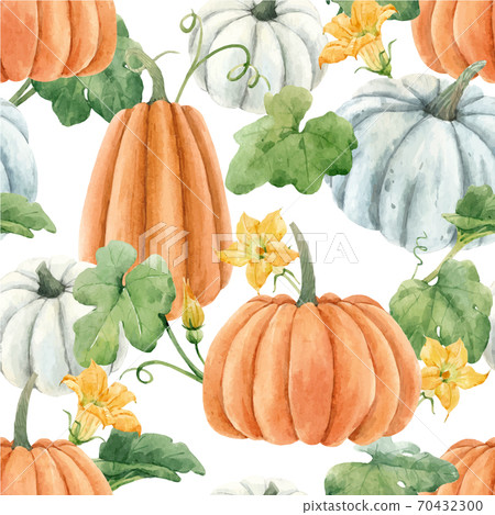 Beautiful autumn vector seamless pattern with watercolor pumpkin vegetables, leaves and flowers . Stock illustration. Beautiful autumn vector seamless pattern with watercolor pumpkin vegetables, leaves and flowers . Stock illustration. 70432300