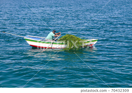 Boats of Sun Island in Lake Titicaca in Copacabana, Bolivia Boats of Sun Island in Lake Titicaca in Copacabana, Bolivia 70432309