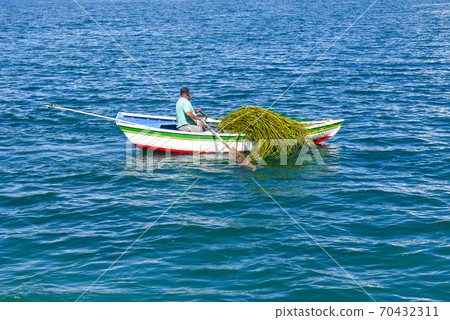 Boats of Sun Island in Lake Titicaca in Copacabana, Bolivia Boats of Sun Island in Lake Titicaca in Copacabana, Bolivia 70432311