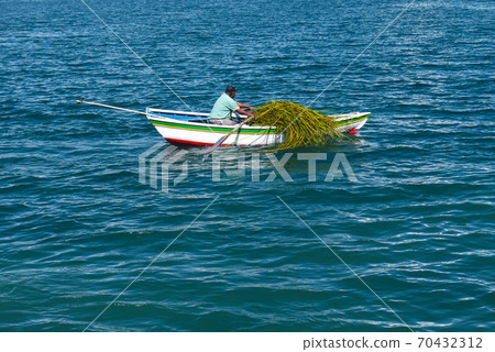 Boats of Sun Island in Lake Titicaca in Copacabana, Bolivia Boats of Sun Island in Lake Titicaca in Copacabana, Bolivia 70432312
