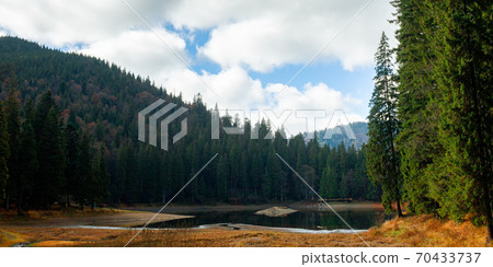 mountain lake among the coniferous forest. wonderful nature scenery in autumn. dry sunny weather with clouds on the sky 70433737