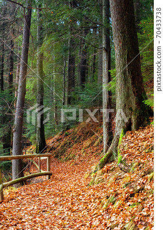 pathway through the forest. beautiful autumn scenery. wooden fence along the walkway covered in fallen foliage 70433738