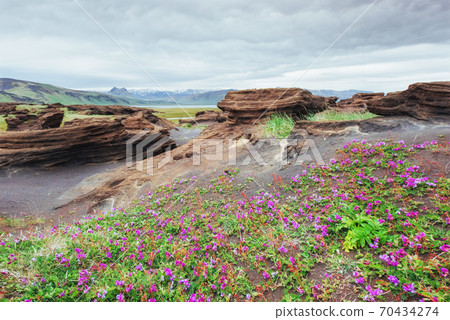 Scenic view of volcanic rocks in Iceland. Scenic view of volcanic rocks in Iceland. 70434274