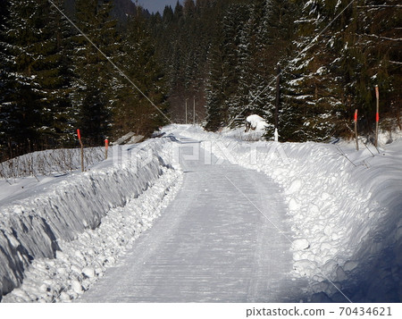 Snow calamity on forest road 70434621