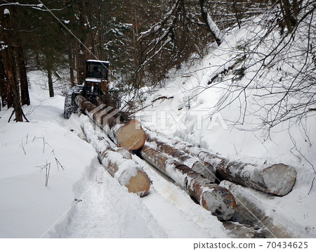 tractor pulls the trunks of trees tractor pulls the trunks of trees 70434625