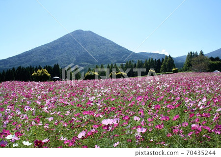 Ikoma Plateau 70435244